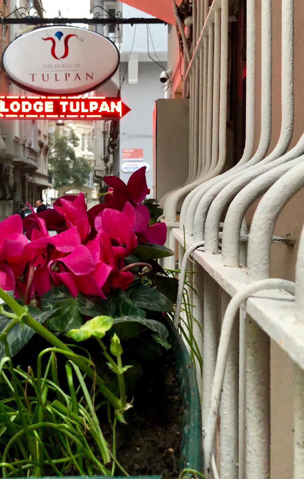 The House Of Tulpan Hotel Istanbul Exterior photo