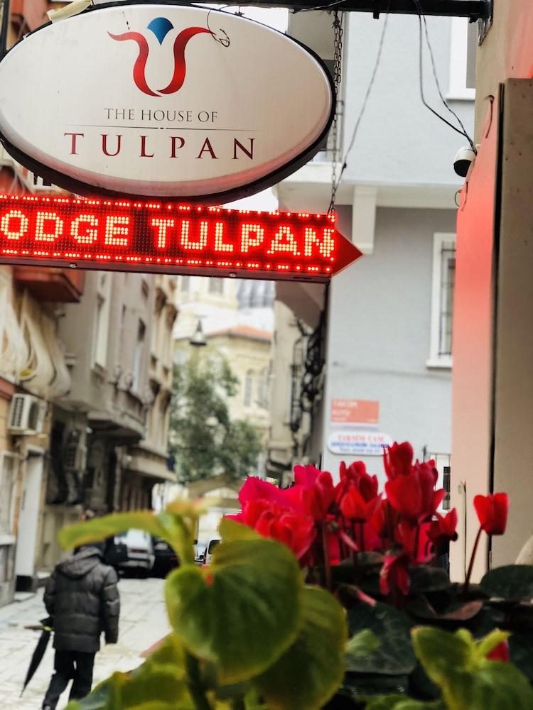 The House Of Tulpan Hotel Istanbul Exterior photo